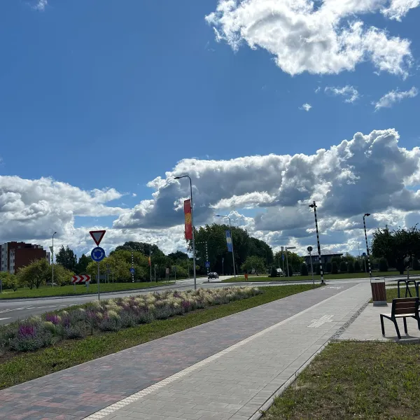 Seguma atjaunošana Rīgas ielā, Salaspilī un rotācijas apļa izbūvi Rīgas ielas krustojumā ar Zvaigžņu ielu un Zvaigžņu ielas posma būvniecību no Rīgas ielas līdz Lauku ielas rotācijas aplim