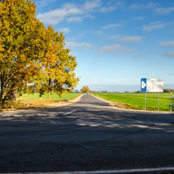 Jelgavas novada, Sesavas pagasta pašvaldības ceļa Eleja – Bauskas šos. – Staltie pārbūve